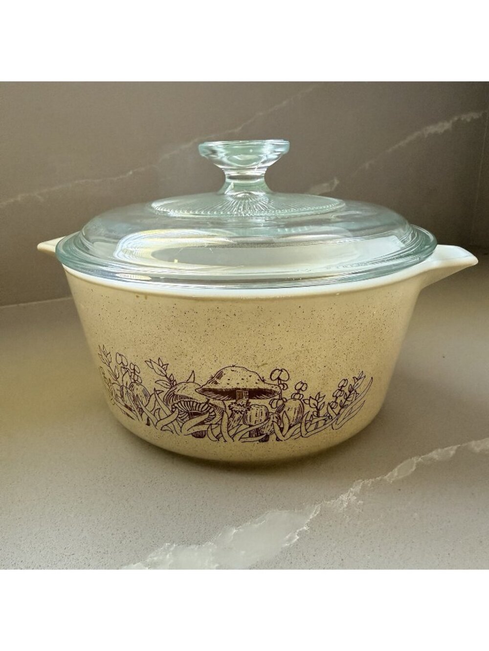 Vintage Pyrex Forest Fancies Mushroom Casserole Dish With Lid 474-B Beige Brown